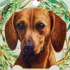Collections Etc Personalizable Pet Ornament - 3 of 3