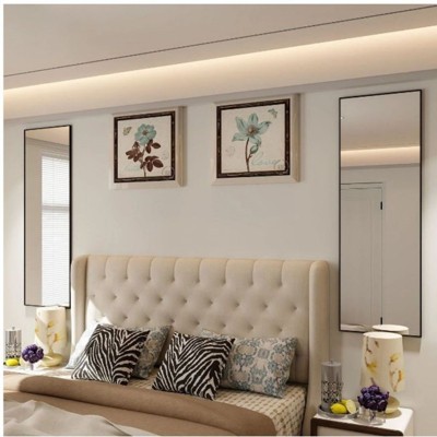 Homlux Rectangular Wall Mounted, Full Length Door Mirror 14"x48", Black