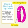 Country Brook Petz Martingale Heavyduty Training Collar with No Buckle - Service Collar for All Dogs - Vibrant, Colorful Collection - 3 of 4