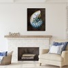 Stupell Industries Dark Nautilus Shell, 30" x 40" - 2 of 4