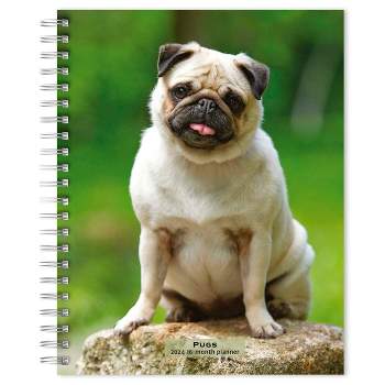 Browntrout 23-2024 Weekly/Monthly Planner 7.5"x7.125" Pugs
