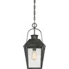 Quoizel Lighting Carriage 1 - Light Pendant in  Mottled Black - 3 of 4