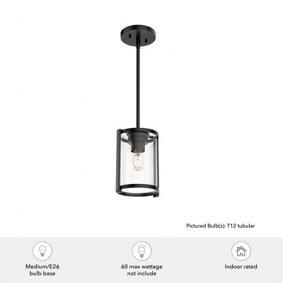 Hunter Fans 6" Astwood Pendant Light Matte Black Finish - 1 Bulb, Incandescent, Transitional Design for Any Room