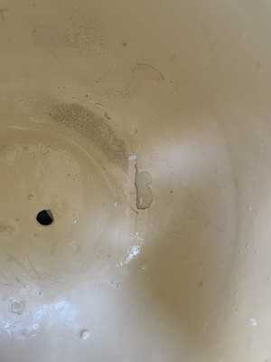 Guest review image 1 of 2, zoom in