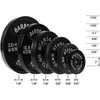 Gulches 2¡¯ Olympic Cast Iron Weight Plates for Strength Training and Weightlifting, Multiple Sizes - 4 of 4
