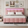 Queen Size Upholstered Platform Bed with LED Light, Twin XL Size Trundle and 2 Drawers, Beige/Dark Gray/Pink-ModernLuxe - 2 of 4