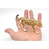 Collectible Wildlife Gifts | Leopard, Cat, Realistic Toy Model Plastic Replica Animal, Kids Educational Gift     5"     M105 B645 - 3 of 4