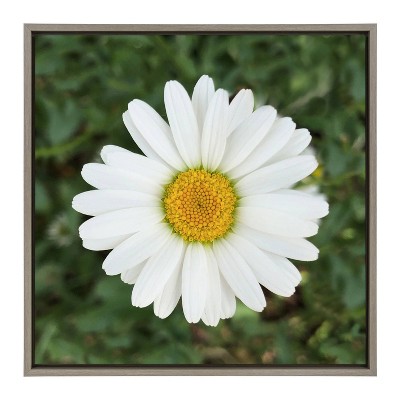 24" x 24" Sylvie Sweet Daisy Framed Canvas by the Creative Bunch Studio Gray - Kate & Laurel All Things Decor