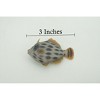 Collectible Wildlife Gifts | Fish, Rough Leatherjacket Fish, High Quality, Hand Painted, Hard Rubber, Realistic, Model, Toy, Gift, 3" CH295 BB179 - 3 of 4