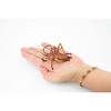 Collectible Wildlife Gifts | Cricket, Hand Painted, Rubber Insect, Realistic Toy Figure, Model,   Educational, Gift,      3"    CH217 BB118 - 2 of 4