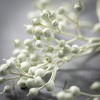 30.5"H Sullivans Cream Green Brilliant Berries, Multicolored - 2 of 2