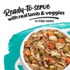 Purina Beneful Prepared Meals Stew Recipes Wet Dog Food - 10oz - 4 of 4