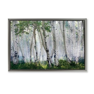 Stupell Industries Up In The Clouds Floating Frame Canvas Art - 1 of 4