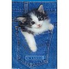 Trends International Keith Kimberlin - Kitten - Pocket Unframed Wall Poster Prints - 4 of 4