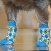 Doggie Design Non-Skid Dog Socks - Blue and Green Argyle - 4 of 4