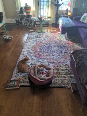 Guest review image 1 of 1, zoom in