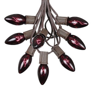 Novelty Lights 25 Feet C9 Christmas String Light Set, Vintage Holiday Hanging Light Set, Brown Wire - 1 of 4