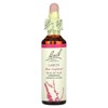 Bach Original Flower Remedies, Larch, 0.7 fl oz (20 ml) - 3 of 4