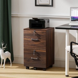 Karl Home 2-Drawer Brown MDF 15.75in. W Vertical File Cabinet - 1 of 4
