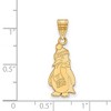 Black Bow Jewelry 14k Yellow Gold Youngstown State Penguins NCAA Large Pendant - 2 of 3