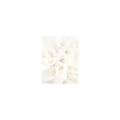 Great Papers White Calla Lilies Letterhead 80 count 2014286