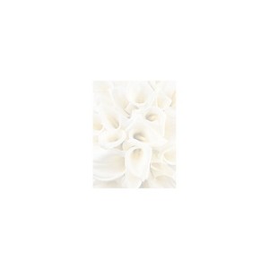 Great Papers White Calla Lilies Letterhead 80 count 2014286 - 1 of 1