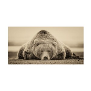 "Deep Sleep" Outdoor All-Weather Wall Decor - 1 of 4