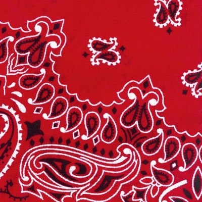 Top Performance Paisley Bandana Red