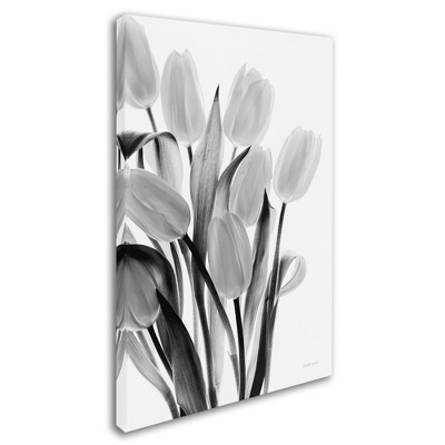 Trademark Fine Art -Elizabeth Urquhart 'Shadows and Light II' Canvas Art