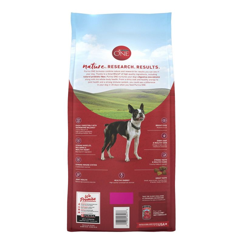 Purina ONE SmartBlend Small Bites Beef & Rice Formula Adult Dry Dog Food, 4 of 8