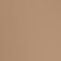 890 camel