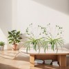 2pcs Artificial Hanging Plants With Pot,PE Plastic Faux Chlorophytum Comosum Hanging Plant Decor For Outdoor Indoor Home Garden Office - 2 of 4
