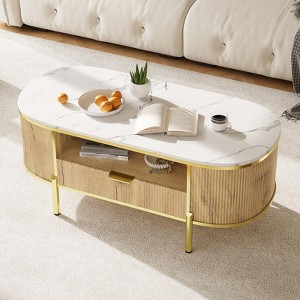 Modern Oval Coffee Table with Storage Organizer, 48" Wood Fluted Center Table for Living Room Office - 1 of 4