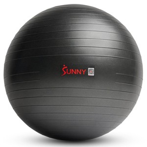 Premium Stability Exercise Ball – 45–75 cm - Sunny Health & Fitness - 1 of 4