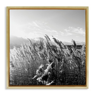 Stupell Industries Tall Grass Lake Water Landscape, 25" x 25"