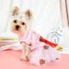 Paaaawaters Small Pet Dog Cat Tutu Lace Dress Puppy Ballet Skirt Princess Apparel Clothes - 2 of 4