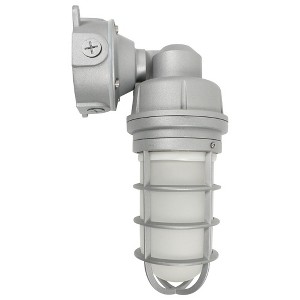 Nuvo Lighting 1 - Light Wall Light in  Gray - 1 of 4