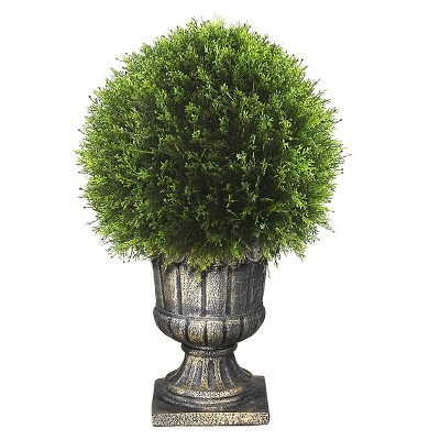 Upright Juniper Ball Topiary Tree in a Decorative Urn (27")