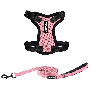 Voyager Step-In Lock Adjustable Dog & Cat Harness and 5ft Leash Combo - 1 of 4