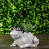 Roman 9.75" Frog Spring Outdoor Patio Garden Planter - Gray - 2 of 4