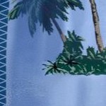 palm tree panel