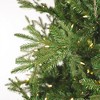 Vickerman Washington Fraser Fir Artificial Christmas Tree - 2 of 4