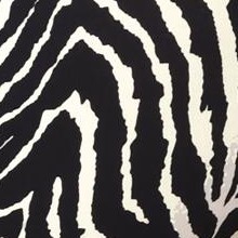 black-zebra