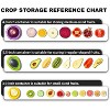 Avocado Saver and Tomato Holder - Set of 4 Reusable Storage Containers for Fridge - Ideal for Garlic, Onions, Lemons, and Potatoes - 4 of 4