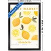 Trends International Reinders: Fruit Market - Sorrento Lemons Framed Wall Poster Prints - 3 of 4