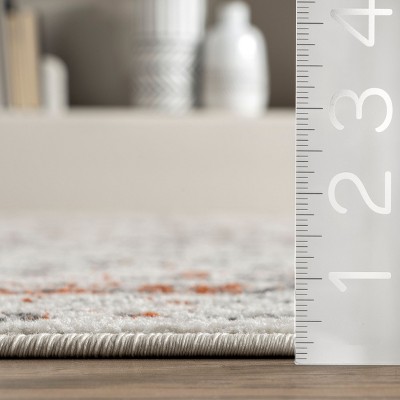 Arlena Distressed Red and Gray Traditional Area Rug, 4' x 6'