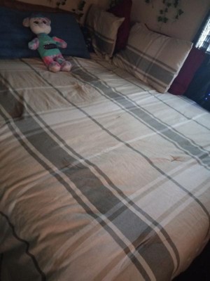 Guest review image 1 of 1, zoom in