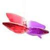 Crystal Expressions 5.0 Inch Butterfly Two Tone Ornament Tree Ornaments - 3 of 3