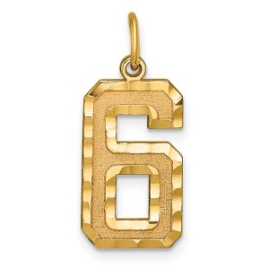 Black Bow Jewelry 14k Yellow Gold, Varsity Collection, Large D/C Pendant Number 6 - 1 of 4