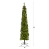 7ft. Green Pencil Artificial Christmas Tree with 150 Clear Multifunction LED Lights and 338 Branches – Stylish Slim X-Mas Tree - 2 of 4